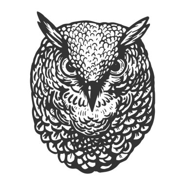 Baykuş kuş baş hayvan oyma vektör