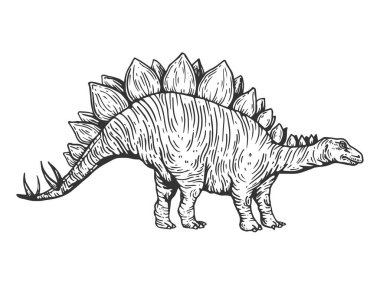 Stegosaurus dinozor oyma vektör