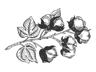 Pamuk şube oyma vektör çizim