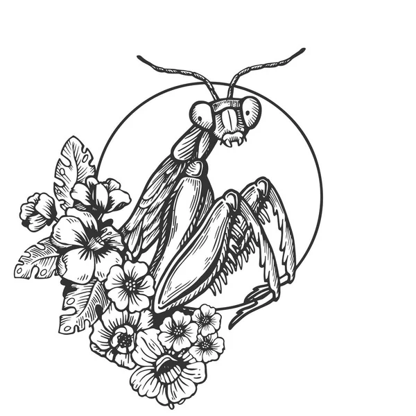 Гравировка насекомых-богомолов — стоковый вектор