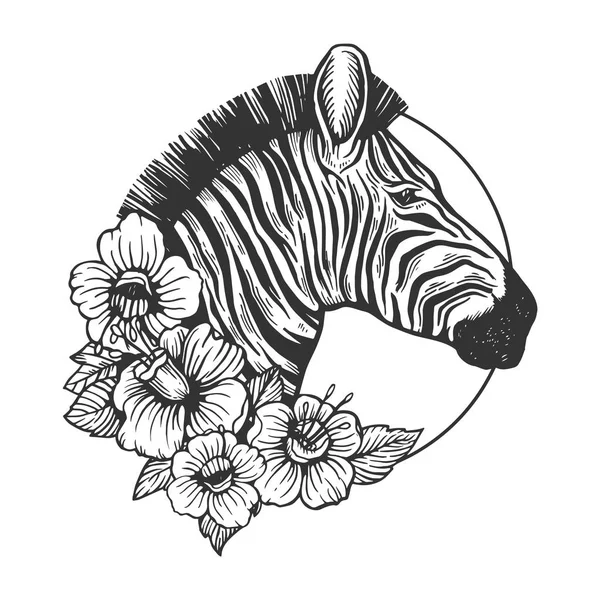 Zebra hoofd dierlijke gravure vector — Stockvector