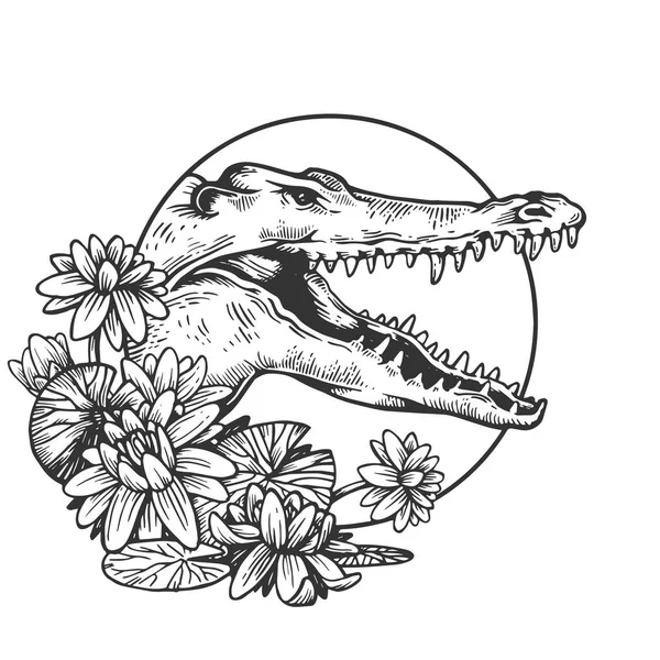 Crocodile head animal engraving vector — Stock Vector