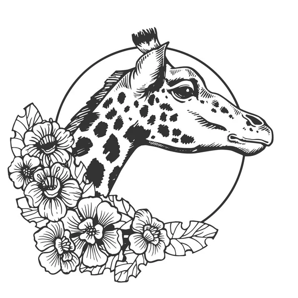 Giraffe head animal engraving vector — Stock Vector