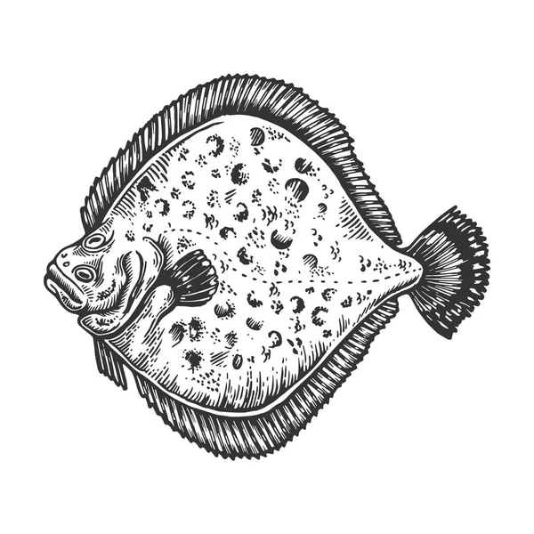 Europäische Scholle Fisch Tier Gravur-Vektor — Stockvektor