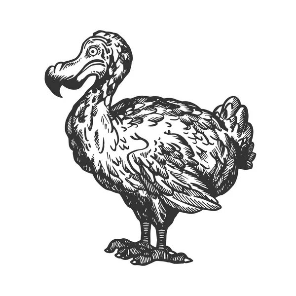 Illustration vectorielle de gravure d'oiseau Dodo. Imitation de style scratch board. Image dessinée à la main noir et blanc . — Image vectorielle