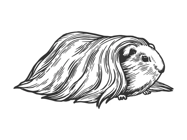 Guiné porco cavy animal gravura vetor ilustração. Imitação de estilo Scratch board. Imagem desenhada à mão preto e branco . —  Vetores de Stock