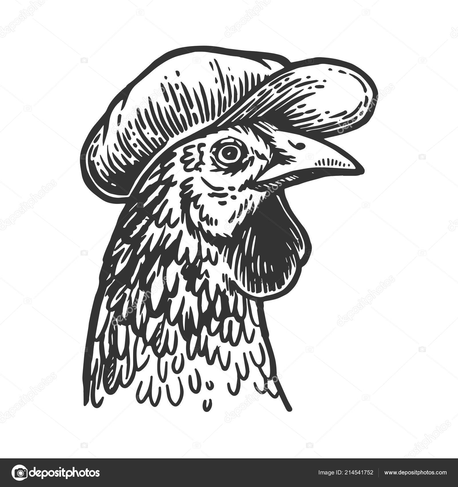 Chicken bird in flat cap engraving vector Scratch