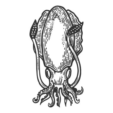 Mürekkep balığı deniz hayvan oyma vektör çizim. Yönetim Kurulu tarzı taklit kaşı. Siyah ve beyaz el çizilmiş resim.