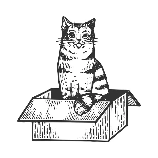 猫坐在盒子里雕刻向量插图。划痕板式模仿。黑白手绘图像. — 图库矢量图片