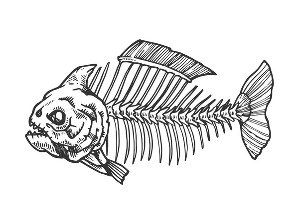 Piranha fish skeleton animal engraving vector illustration. Scratch board style imitation. Black and white hand drawn image. — Stock Vector