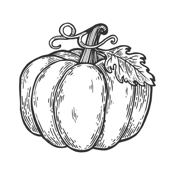 Kabak meyve oyma vektör çizim. Yönetim Kurulu tarzı taklit kaşı. Siyah ve beyaz el çizilmiş resim.