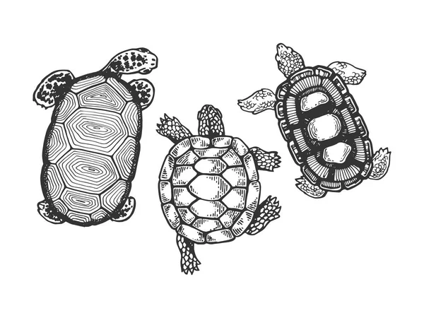 Illustration vectorielle de gravure animale sur tortue. Imitation de style scratch board. Image dessinée à la main noir et blanc . — Image vectorielle