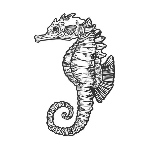 Ilustración de vectores de grabado de animales de caballo de mar. Scratch board estilo imitación. Imagen dibujada a mano en blanco y negro . — Archivo Imágenes Vectoriales