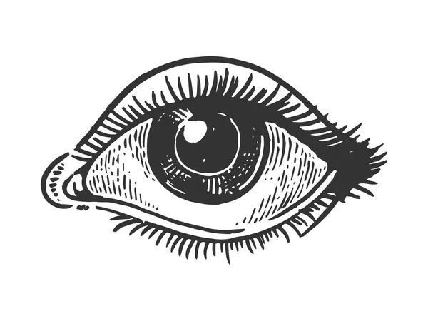 Ilustracja wektorowa Grawerowanie ludzkie oko. Podstaw deska stylu imitacja. Czarno-białe strony narysowanych obrazu. — Wektor stockowy