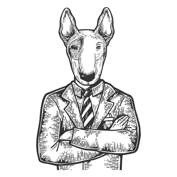 Bull terrier cabeza de perro empresario grabado vector ilustración. Scratch board estilo imitación. Imagen dibujada a mano en blanco y negro . — Vector de stock