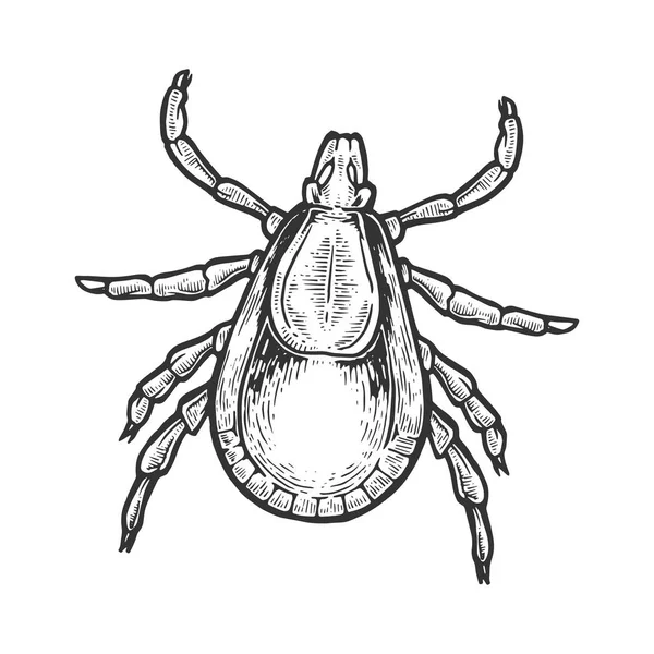 Векторная гравировка насекомых. Имитация в стиле Scratch board. Черно-белое изображение . — стоковый вектор