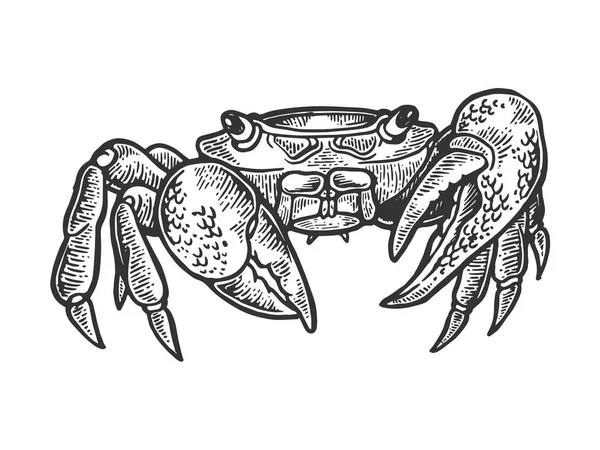 Ilustración del vector de grabado de animales marinos de cangrejo. Scratch board estilo imitación. Imagen dibujada a mano en blanco y negro . — Archivo Imágenes Vectoriales