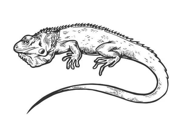 Ilustracja wektorowa Iguana zwierzęta Grawerowanie. Podstaw deska stylu imitacja. Czarno-białe strony narysowanych obrazu. — Wektor stockowy