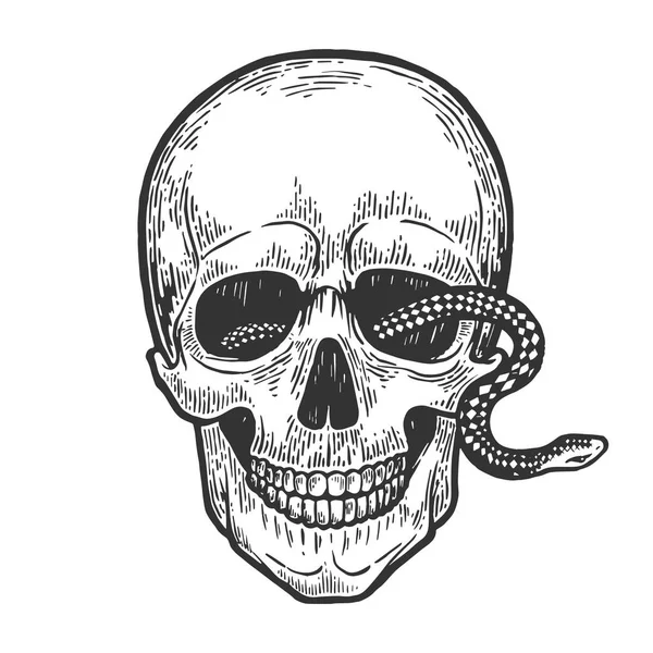 Snake in menselijke schedel gravure vectorillustratie. Kras bestuur stijl imitatie. Zwart-wit getekende handbeeld. — Stockvector