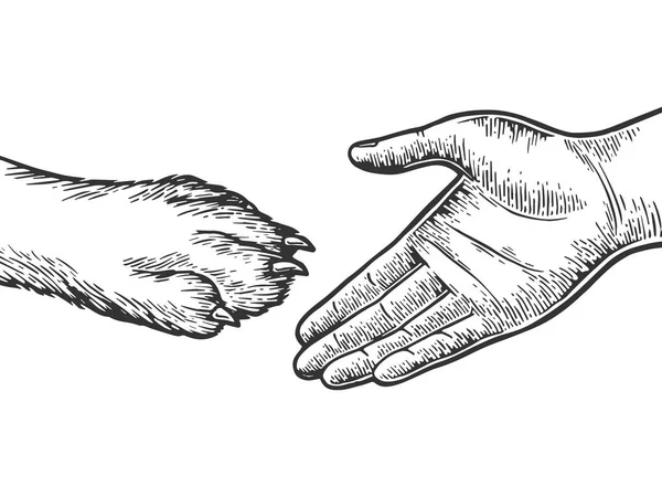 Main humaine et patte de chien poignée de main gravure vectorielle illustration. Imitation de style scratch board. Image dessinée à la main noir et blanc . — Image vectorielle