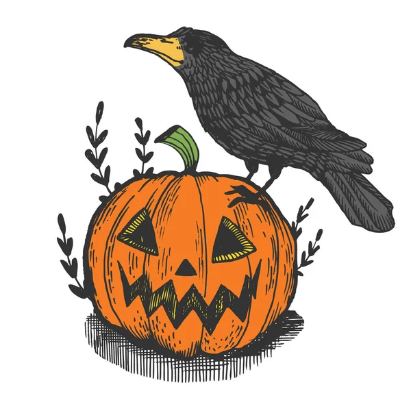 Crow pájaro y calabaza halloween color grabado vector ilustración. Scratch board estilo imitación. Imagen dibujada a mano . — Archivo Imágenes Vectoriales