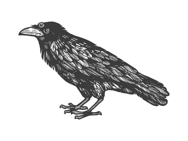 Crow with three eyes sketch engraving vector illustration. Scratch board style imitation. Hand drawn image. — Stock Vector