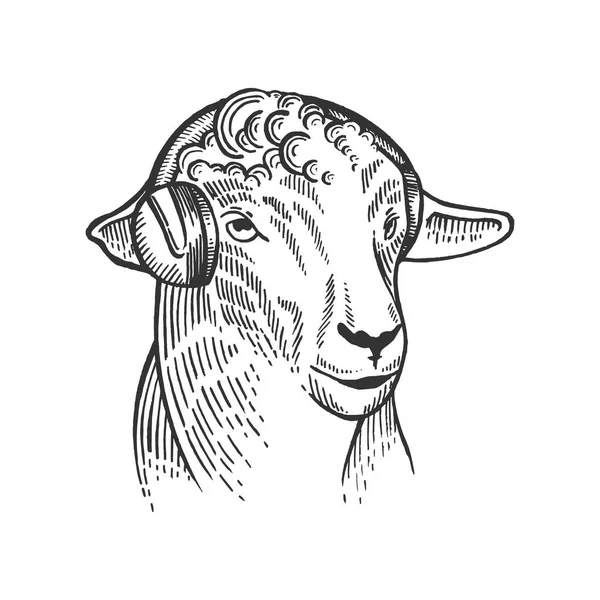 Owce zwierząt w szkicu słuchawki Grawerowanie ilustracji wektorowych. Podstaw deska stylu imitacja. Czarno-białe strony narysowanych obrazu. — Wektor stockowy