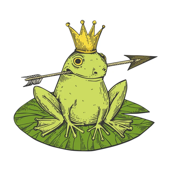 Prenses kurbağa masal hayvan Renk eskiz oyma vektör çizim. Yönetim Kurulu tarzı taklit kaşı. Siyah ve beyaz el çizilmiş resim. — Stok Vektör