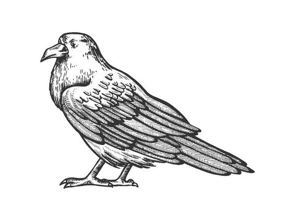Cuervo con tres ojos boceto grabado vector ilustración. Scratch board estilo imitación. Imagen dibujada a mano . — Vector de stock