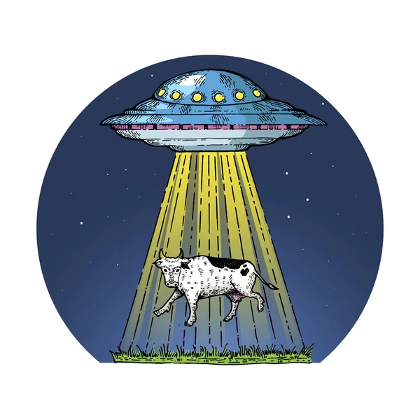 UFO elrabolja a tehén szín vázlat gravírozás vektoros illusztráció. Scratch fórumon stílus utánzása. Kézzel rajzolt kép. — Stock Vector