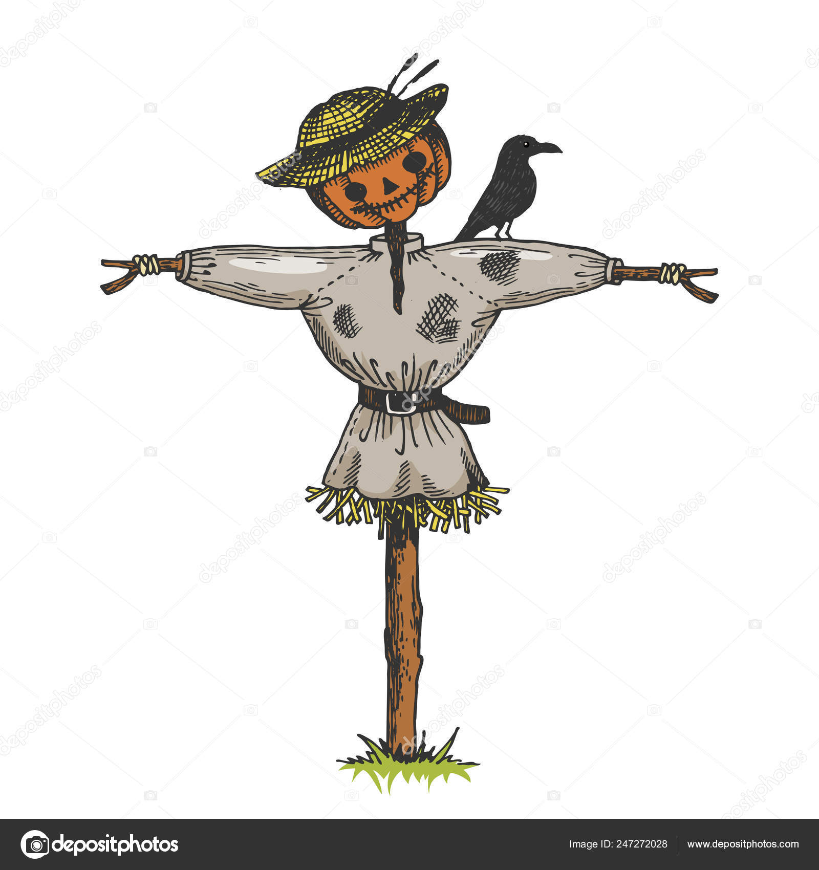 新鮮なかかし イラスト 美しい花の画像