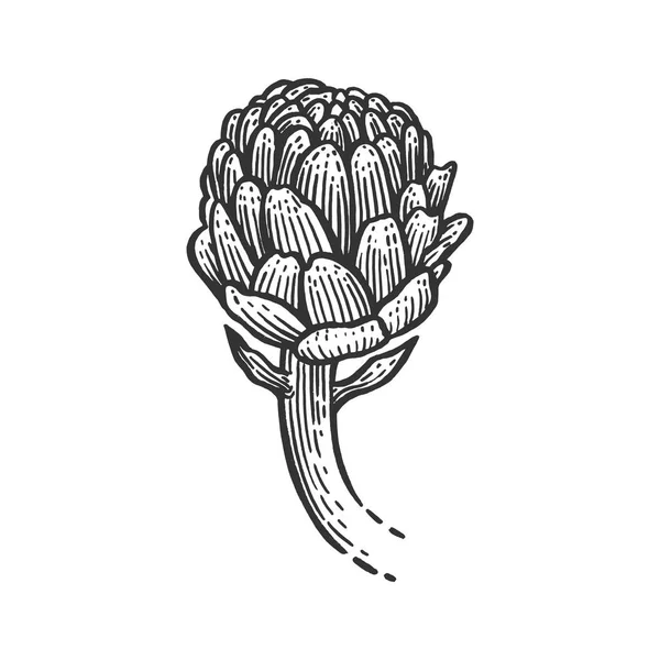 Artichoke planta esboço gravura vetor ilustração. Imitação de estilo Scratch board. Imagem desenhada à mão preto e branco . —  Vetores de Stock