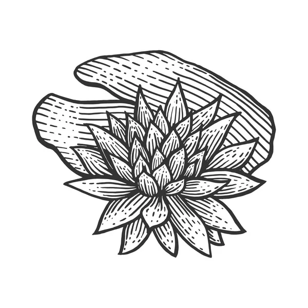 Nymphaea воды лилии цветок винтажный эскиз эскиз векторной иллюстрации. Имитация в стиле Scratch board. Черно-белое изображение . — стоковый вектор