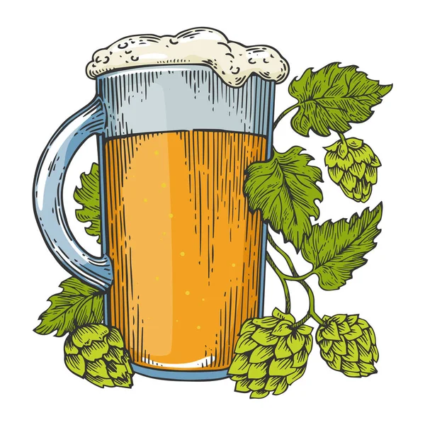 啤酒杯和啤酒花植物颜色素描雕刻向量例证。划痕板式模仿。黑白手绘图像. — 图库矢量图片