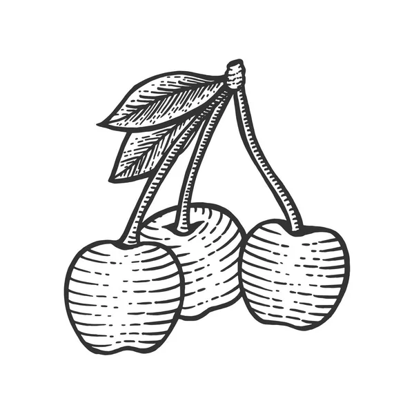 Векторная гравировка ягод вишневой ветви. Имитация в стиле Scratch board. Черно-белое изображение . — стоковый вектор