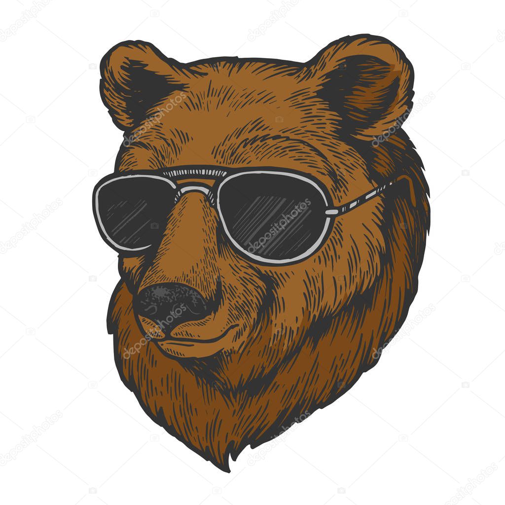 Bear animal in sunglasses color sketch engraving vector illustration. Scratch board style imitation. Black and white hand drawn image.