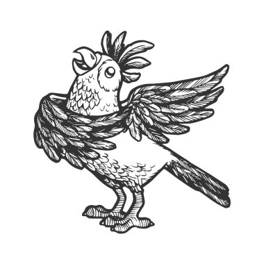 Karikatür şarkı söyleyen papağan kroki vektör çizim oyma. Yönetim Kurulu tarzı taklit kaşı. Elle çizilmiş resim.