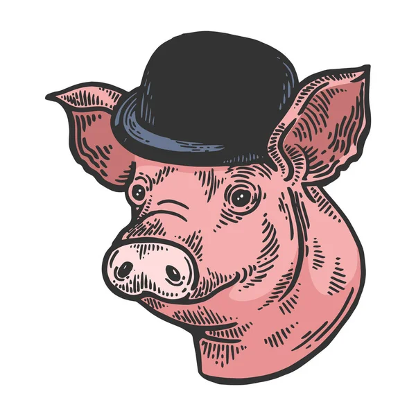 Animal de porco em bowler chapéu esboço cor gravura vetor ilustração. Imitação de estilo Scratch board. Imagem desenhada à mão preto e branco . —  Vetores de Stock