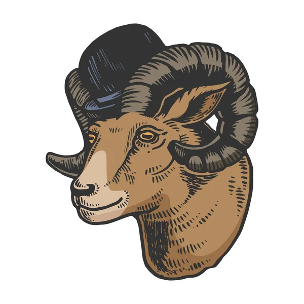 RAM ζώο σε σφαιριστής καπέλο χρώμα σκίτσο Χαρακτική εικονογράφηση φορέα. Μηδέν διοικητικό στυλ απομίμηση. Μαύρο και λευκό χέρι συρμένο εικόνα. — Διανυσματικό Αρχείο