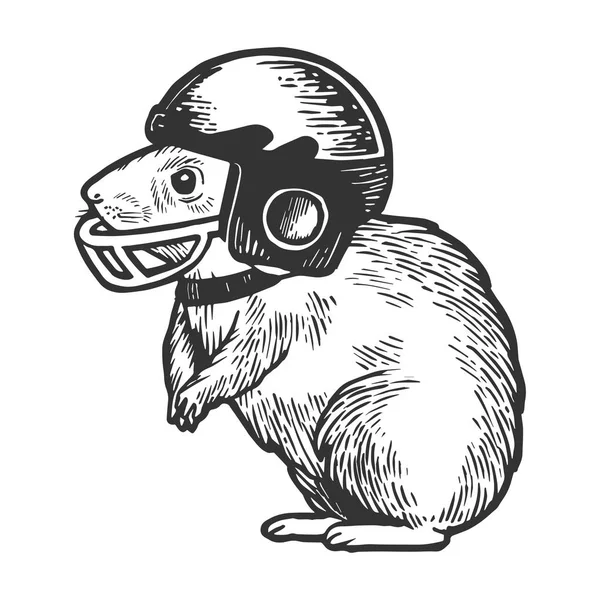 Hámster en el casco de fútbol boceto grabado vector ilustración. Scratch board estilo imitación. Imagen dibujada a mano . — Vector de stock