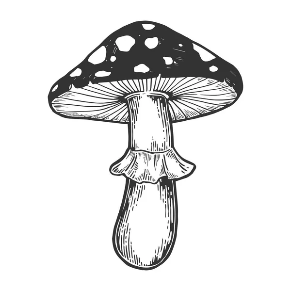 Amanita 蘑菇植物雕刻素描向量例证。划痕板式模仿。黑白手绘图像. — 图库矢量图片