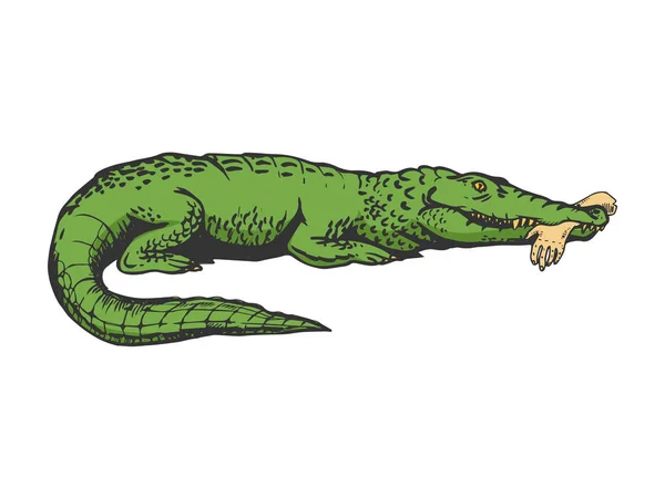 Alligator met menselijke hand in mond kleur schets gravure vectorillustratie. Kras bestuur stijl imitatie. Zwart-wit getekende handbeeld. — Stockvector