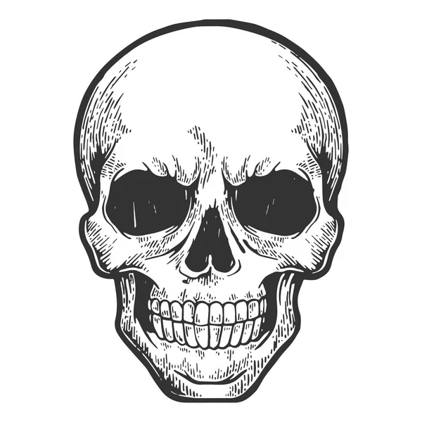 Crâne humain croquis gravure vectorielle illustration. Imitation de style scratch board. Image dessinée à la main. — Image vectorielle