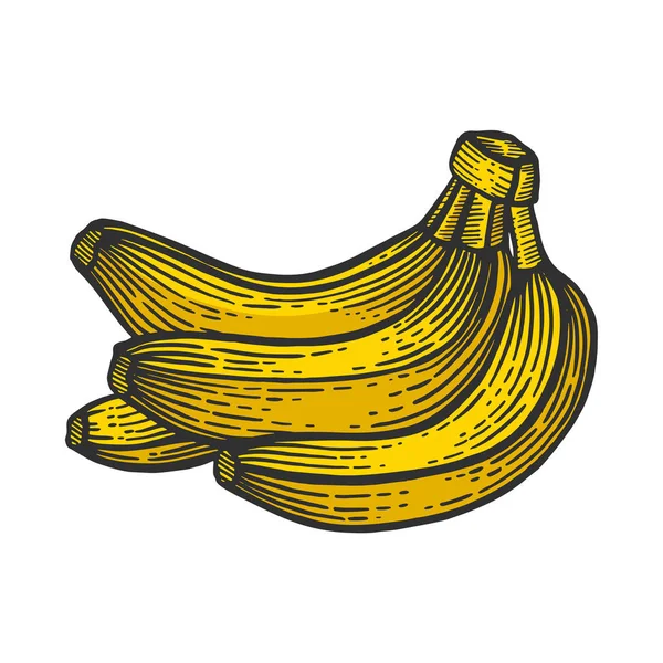 Banana frutas cor esboço gravura vetor ilustração. Imitação de estilo Scratch board. Imagem desenhada à mão preto e branco . — Vetor de Stock