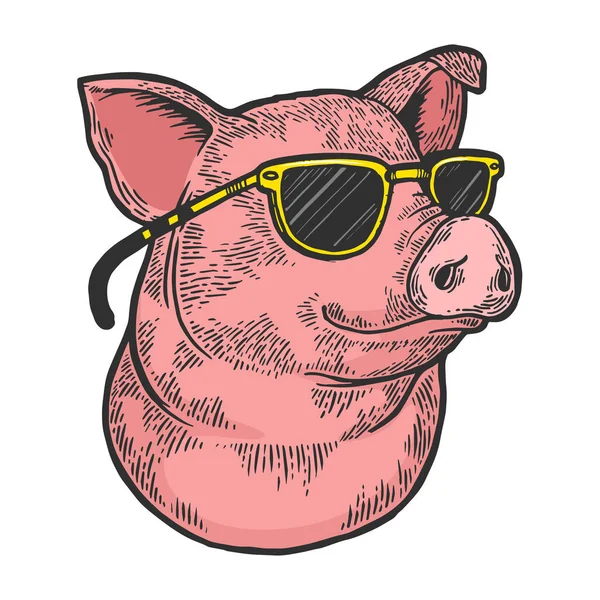 Cochon animal en lunettes de soleil croquis couleur gravure vectorielle illustration. Imitation de style scratch board. Image dessinée à la main noir et blanc . — Image vectorielle