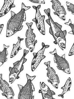 Balık kroki oyma vektör çizim yağmur. Yönetim Kurulu tarzı taklit kaşı. Elle çizilmiş resim.