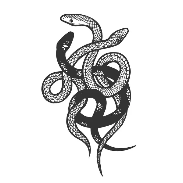 Serpents attachés croquis gravure vectorielle illustration. Imitation de style scratch board. Image dessinée à la main . — Image vectorielle