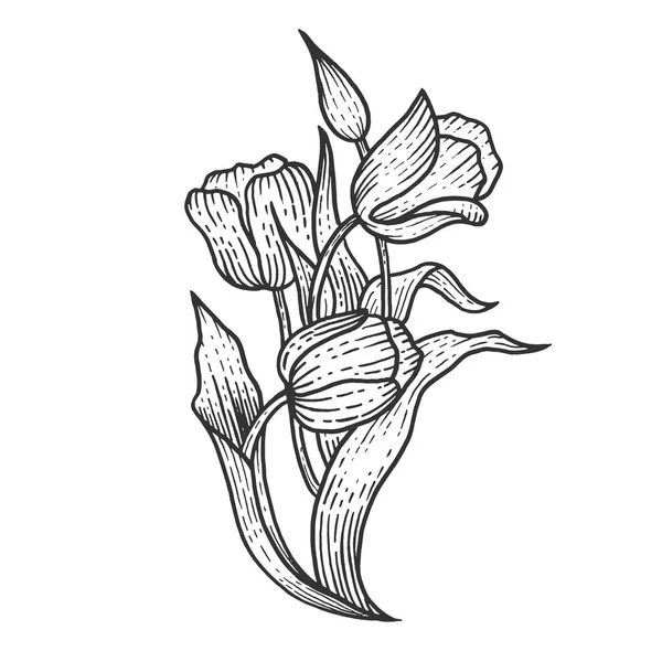 Tulipán flores bosquejo grabado vector ilustración. Scratch board estilo imitación. Imagen dibujada a mano . — Vector de stock