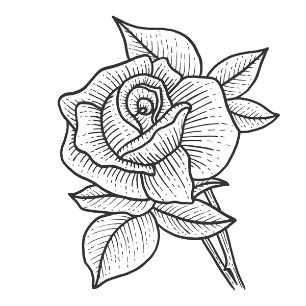 Εικονογράφηση φορέα χάραξης σκίτσο ροδαλό λουλούδι. Μηδέν διοικητικό στυλ απομίμηση. Μαύρο και λευκό χέρι συρμένο εικόνα. — Διανυσματικό Αρχείο