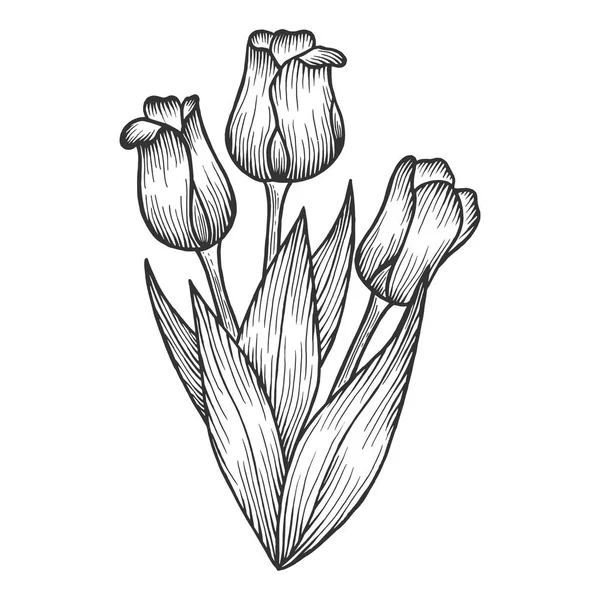 Fleurs de tulipes croquis gravure vectorielle illustration. Imitation de style scratch board. Image dessinée à la main . — Image vectorielle